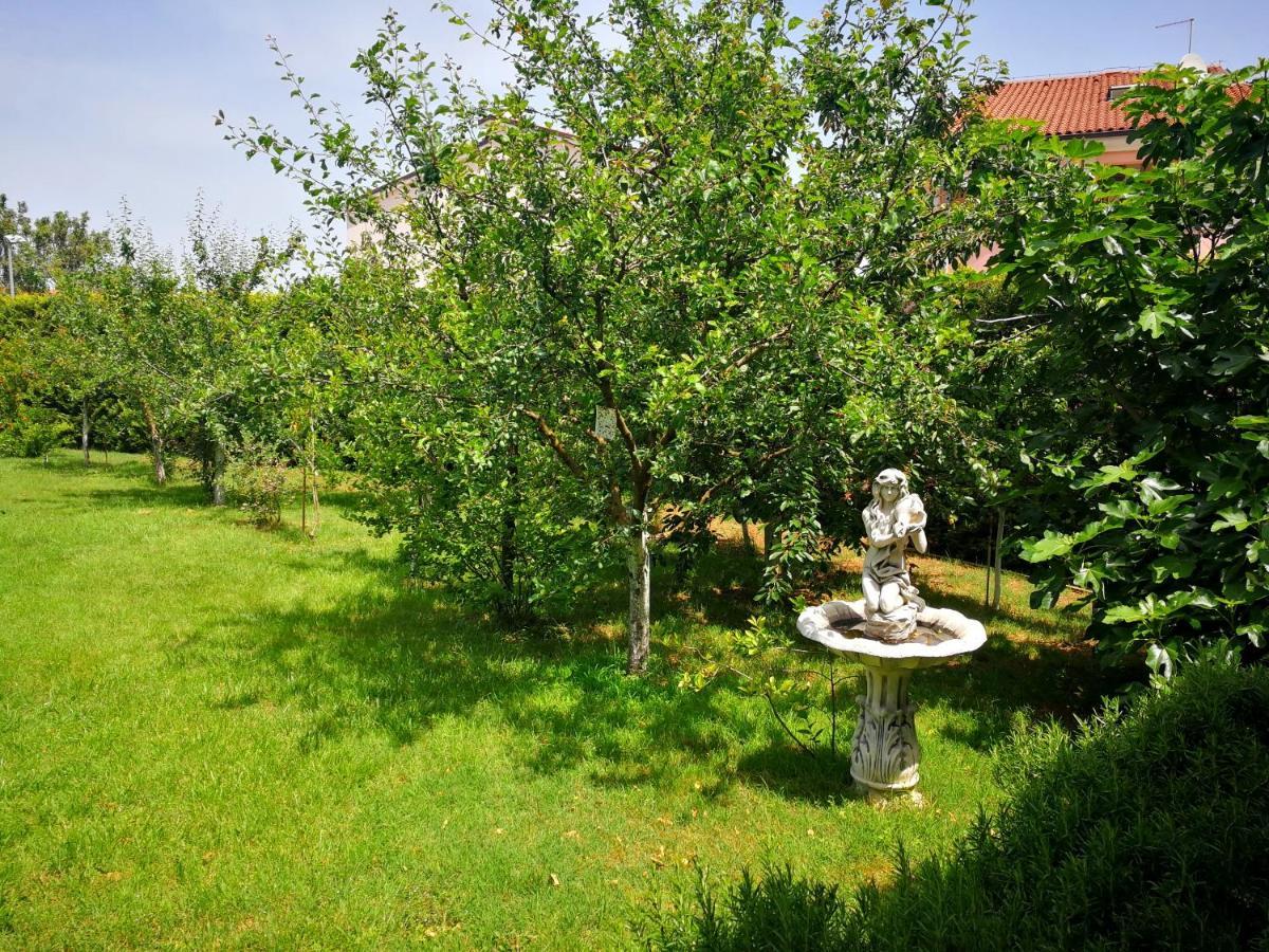 Greenhill Póla Kültér fotó