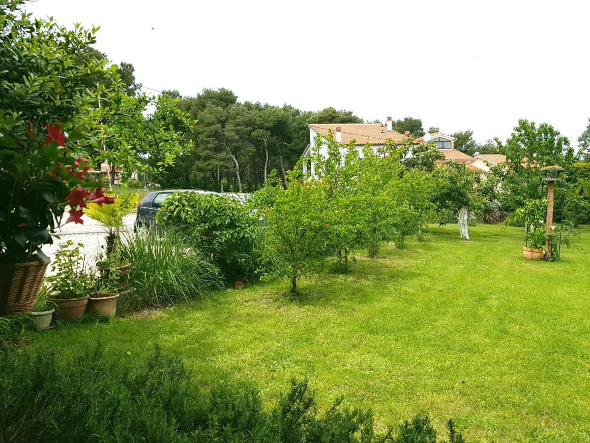 Greenhill Póla Kültér fotó
