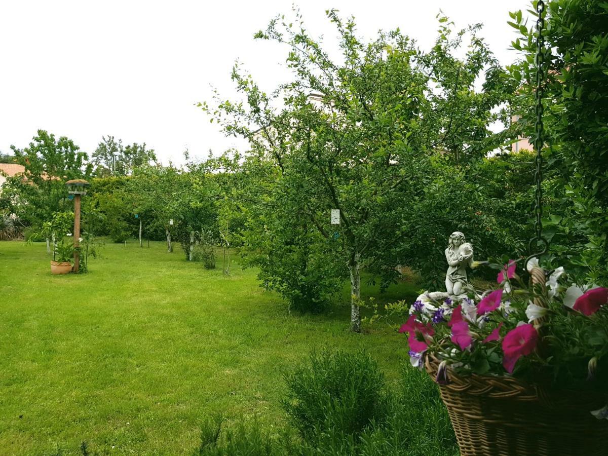 Greenhill Póla Kültér fotó