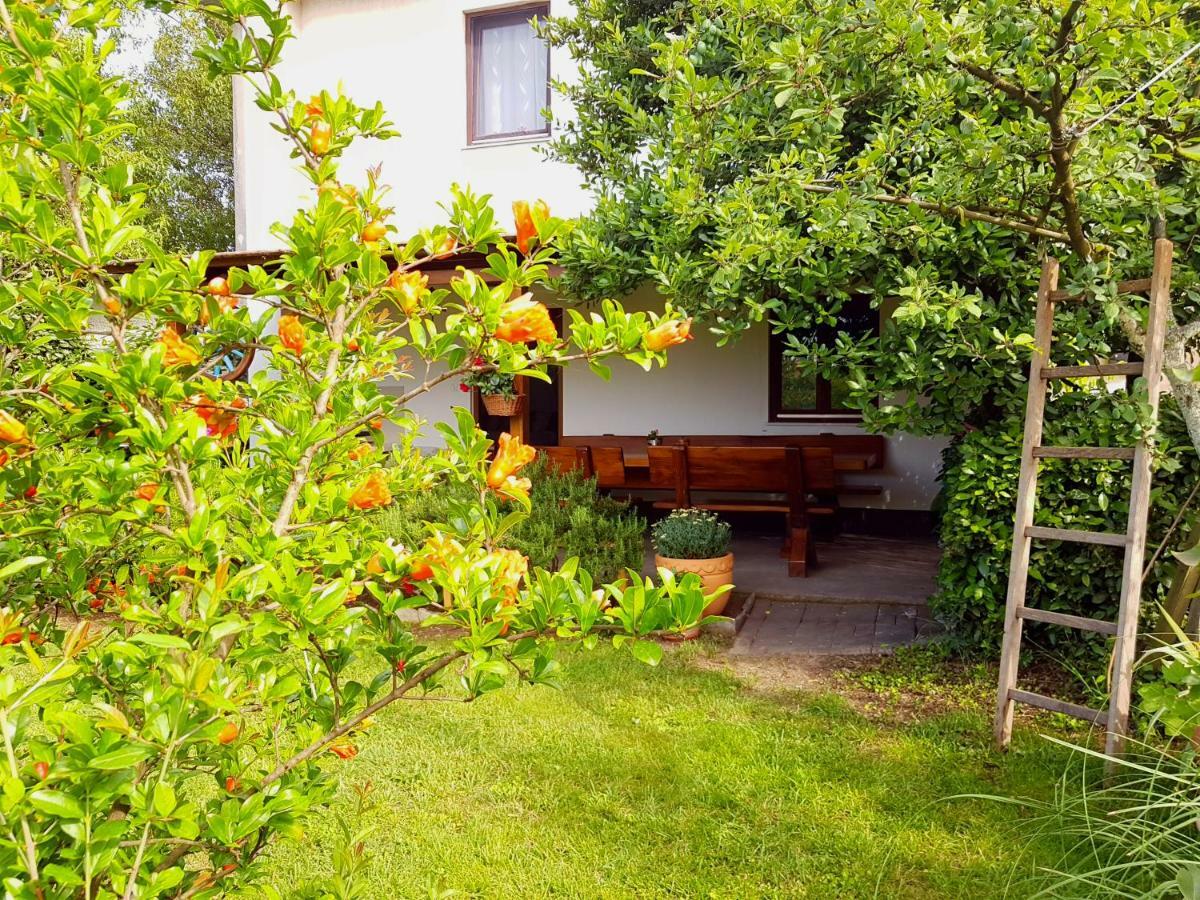 Greenhill Póla Kültér fotó