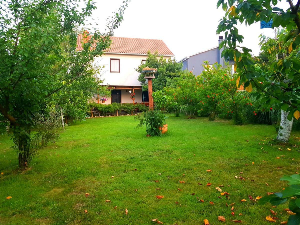 Greenhill Póla Kültér fotó